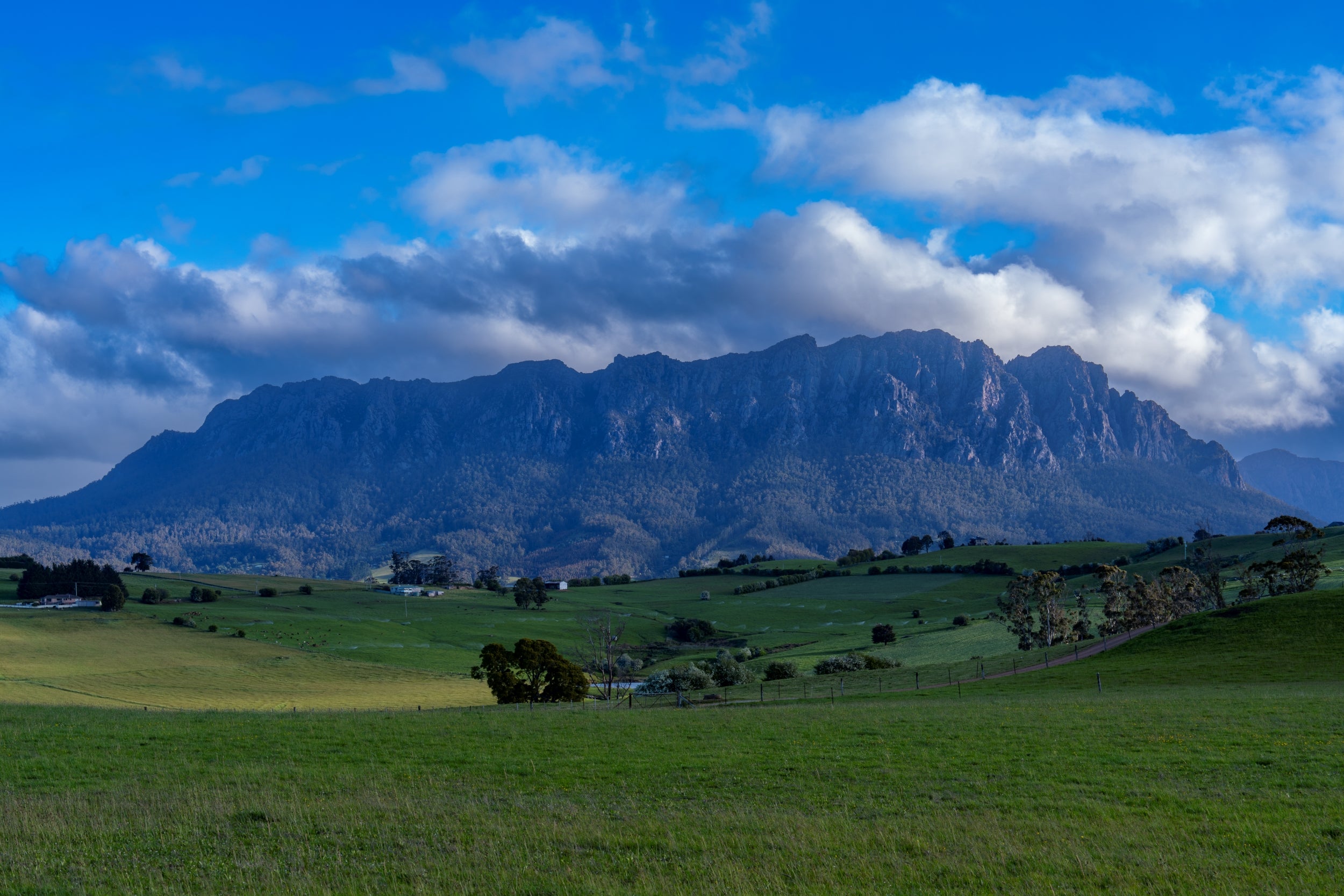 Tasmanian Prints | Mount Roland | Tascape Images